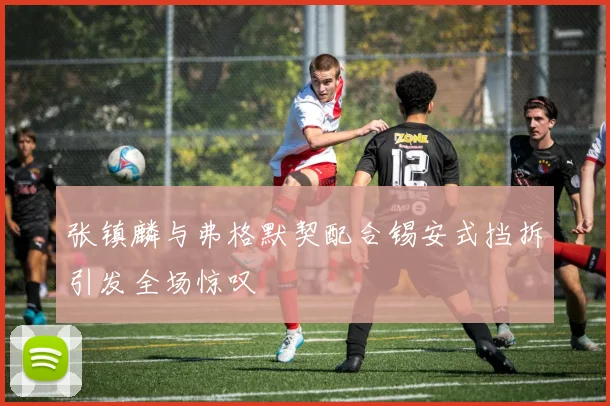 张镇麟与弗格默契配合锡安式挡拆引发全场惊叹