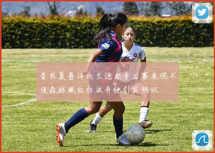 香农夏普评论兰德尔季后赛表现不佳森林狼白白放弃他引发热议