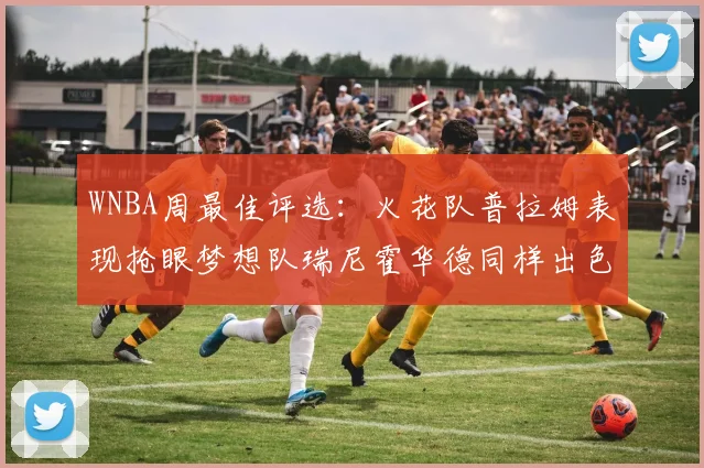 WNBA周最佳评选：火花队普拉姆表现抢眼梦想队瑞尼霍华德同样出色