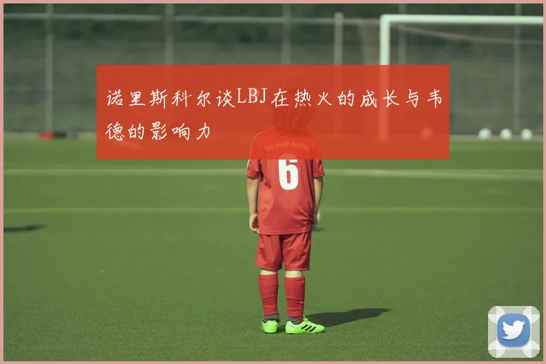 诺里斯科尔谈LBJ在热火的成长与韦德的影响力